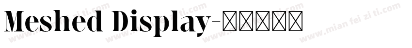 Meshed Display字体转换